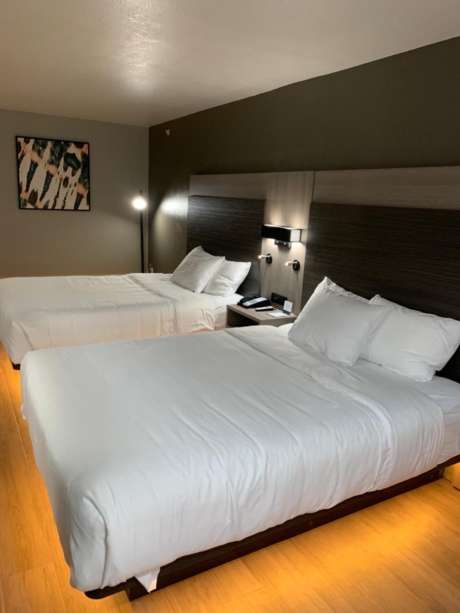 Quality Inn & Suites North Mesquite I-30 Phòng bức ảnh